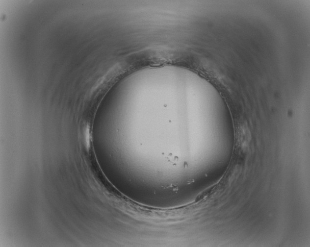 X0000067520027200604101338