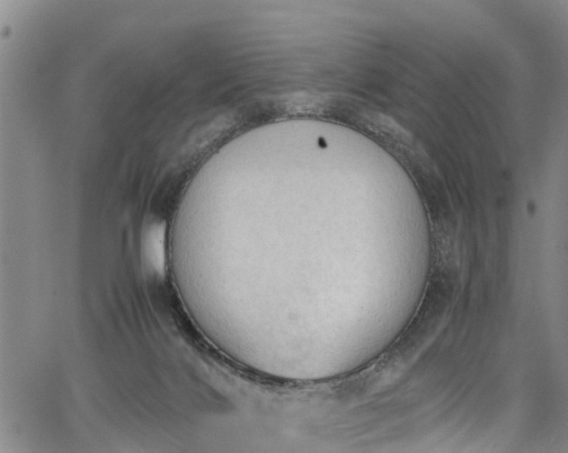 X0000067520028200604101338