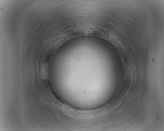 X0000067520030200604101338