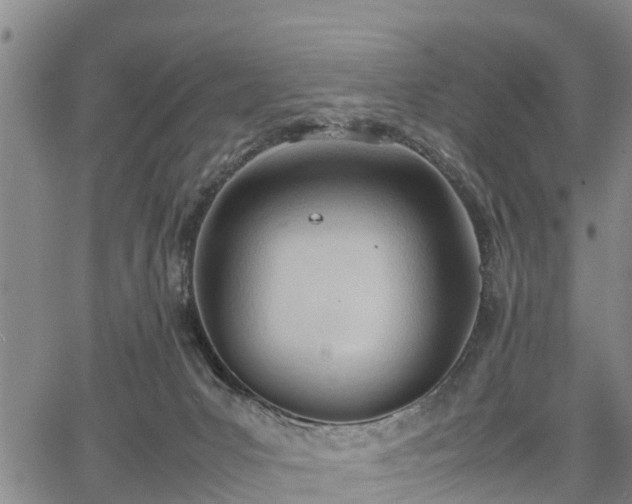 X0000067520031200604101338