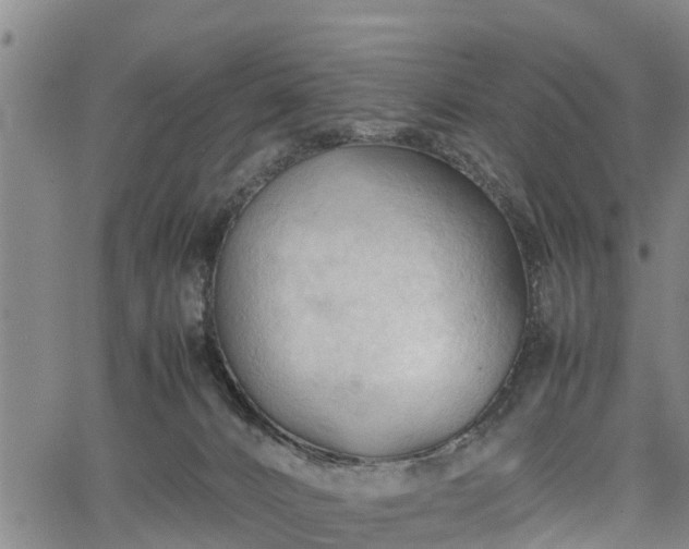 X0000067520032200604101337