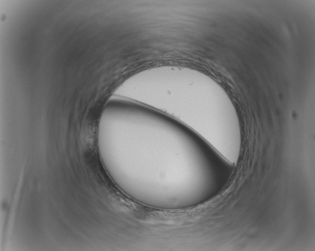 X0000067520033200604101337