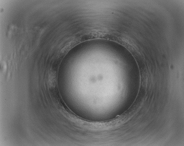 X0000067520034200604101337