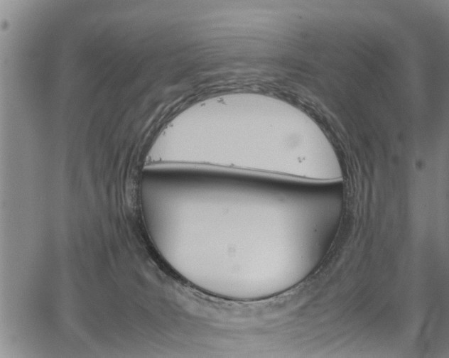 X0000067520035200604101337