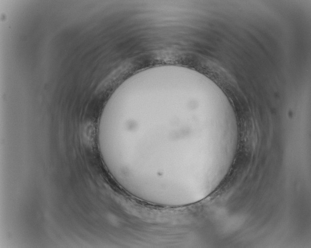 X0000067520036200604101337