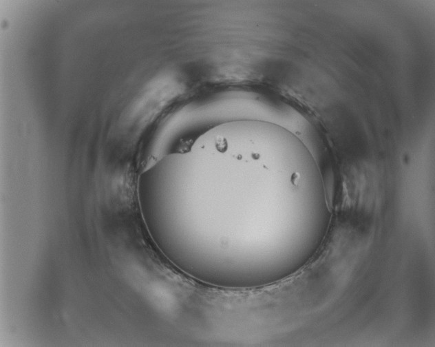 X0000067520037200604101337