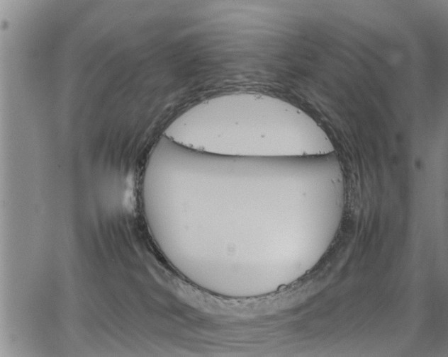 X0000067520038200604101337