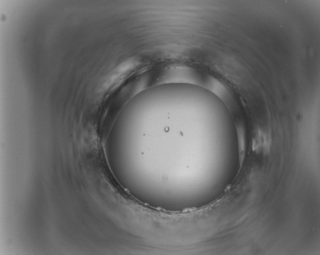 X0000067520039200604101337