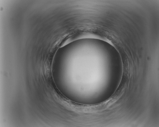 X0000067520040200604101337