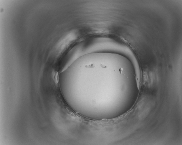 X0000067520041200604101337