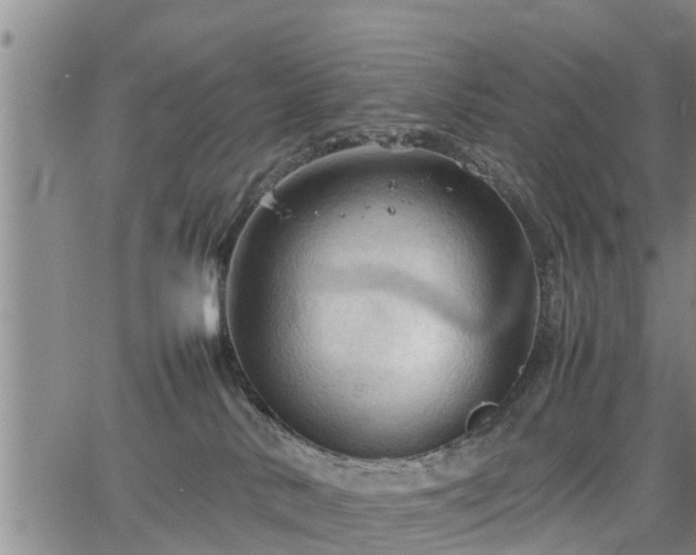 X0000067520042200604101337