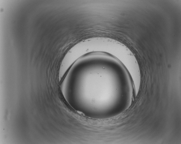 X0000067520043200604101337