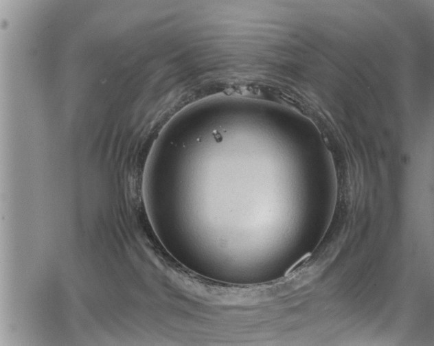 X0000067520044200604101337