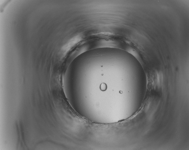 X0000067520045200604101337