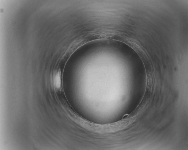 X0000067520046200604101337