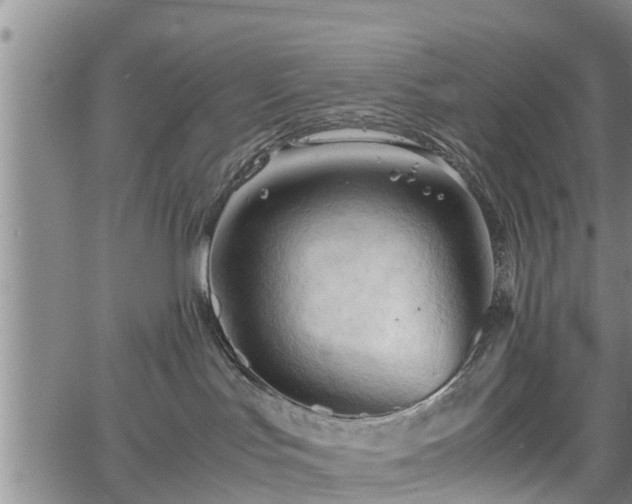 X0000067520047200604101337