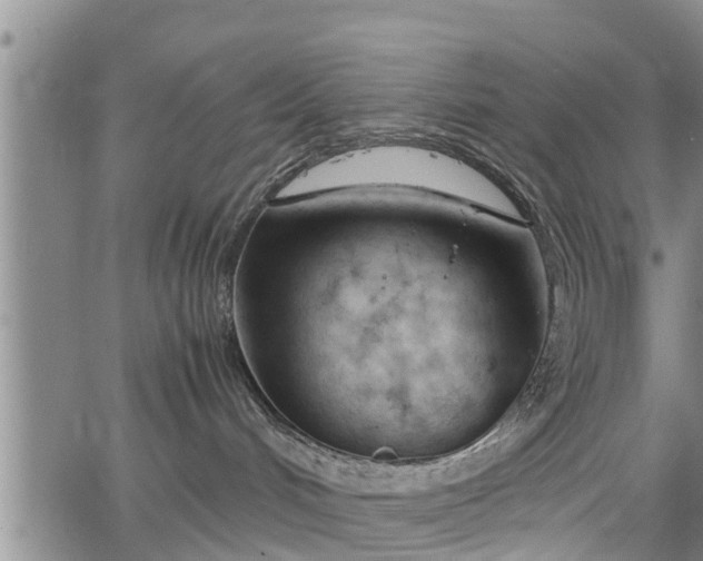 X0000067520048200604101337