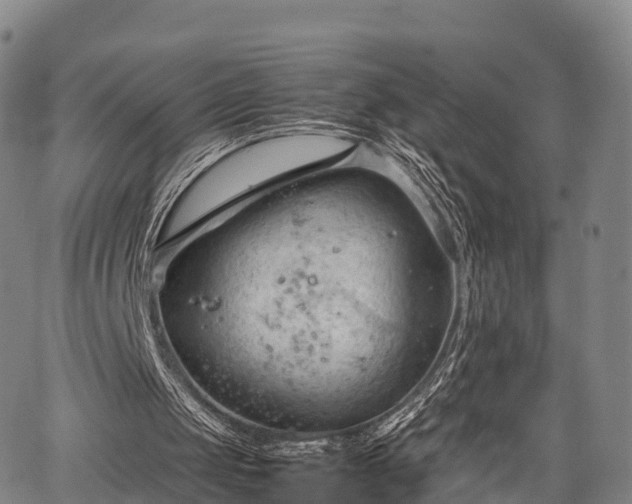 X0000067520049200604101336