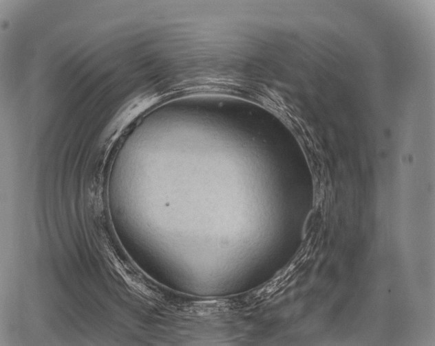 X0000067520050200604101336