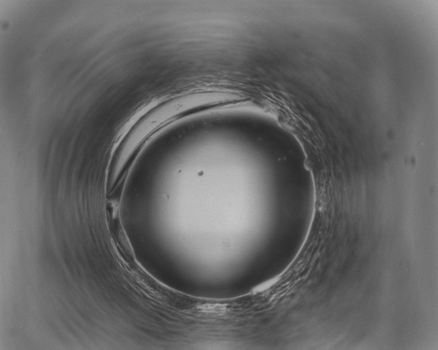 X0000067520052200604101337