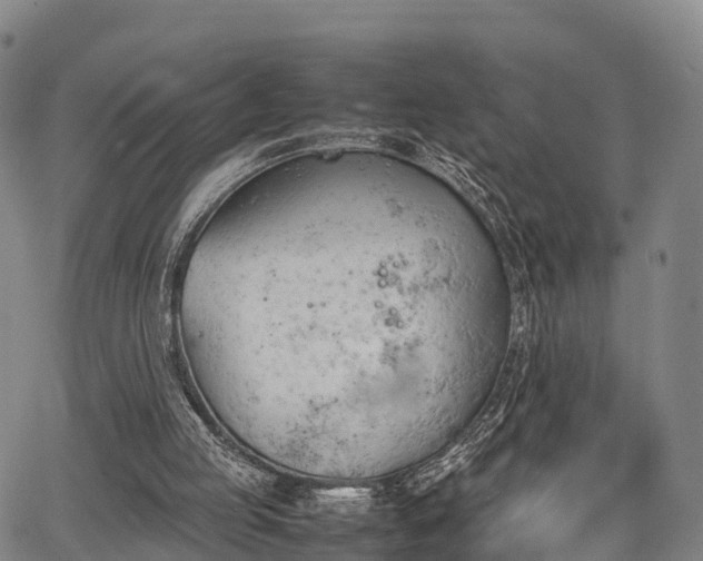 X0000067520053200604101337