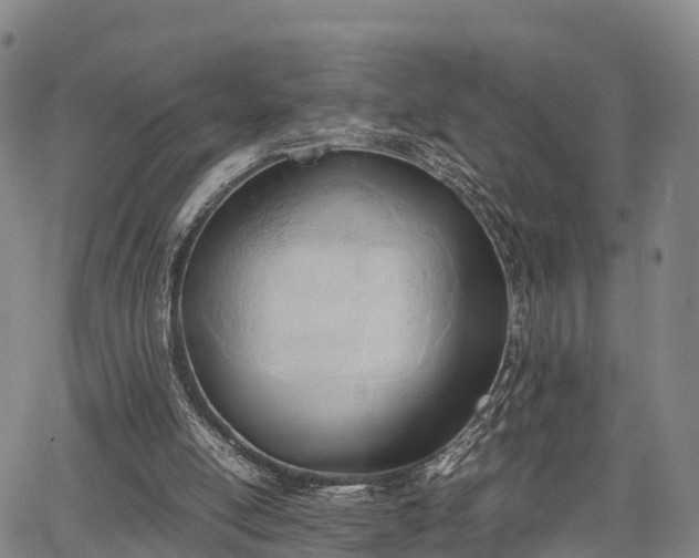 X0000067520054200604101337