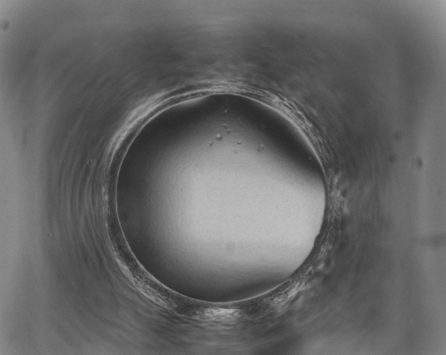 X0000067520055200604101337