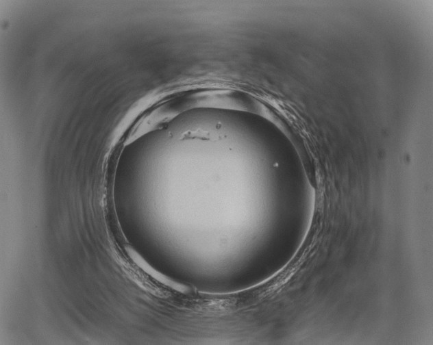 X0000067520056200604101337