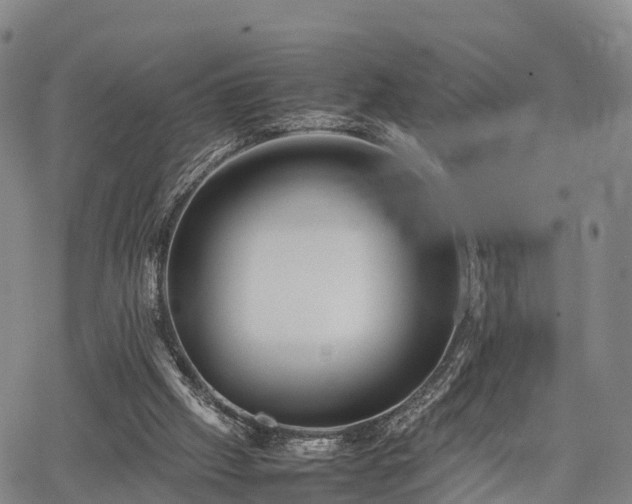 X0000067520057200604101337