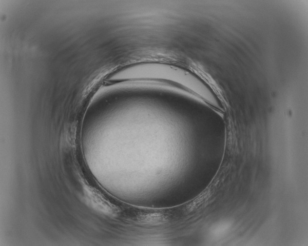 X0000067520058200604101337