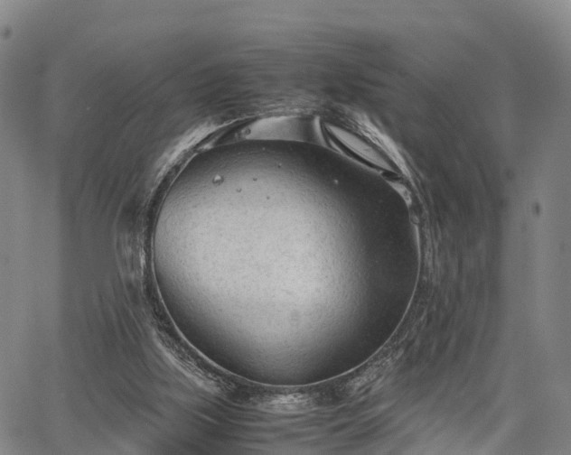 X0000067520059200604101337