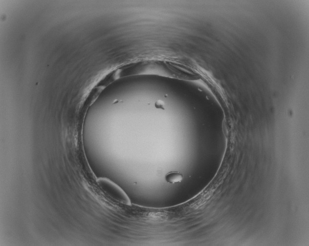 X0000067520060200604101337