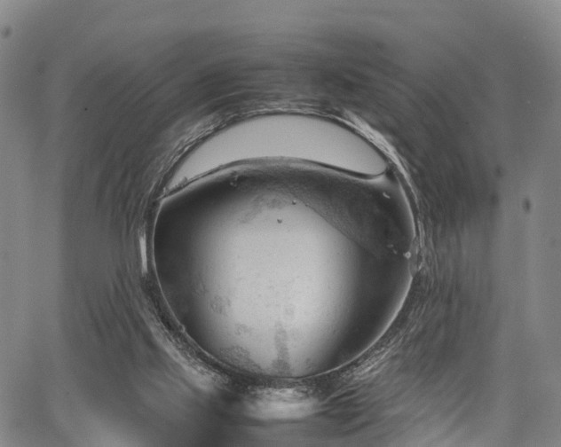 X0000067520061200604101337