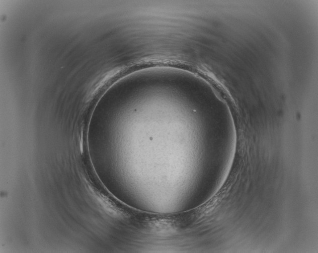 X0000067520062200604101337