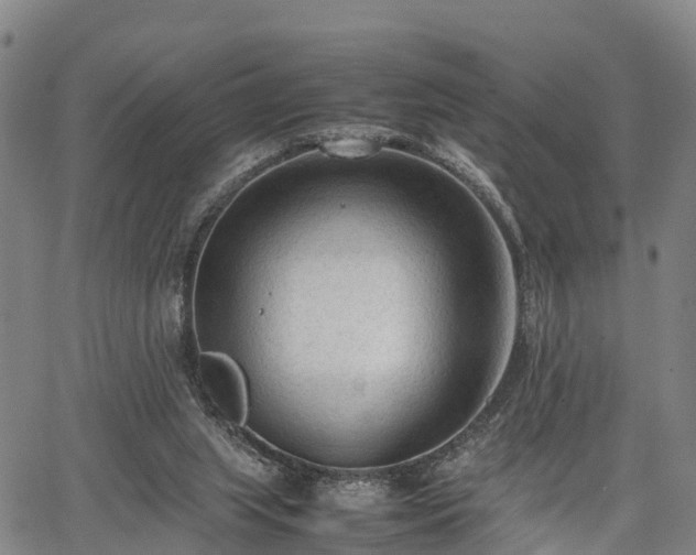 X0000067520063200604101337