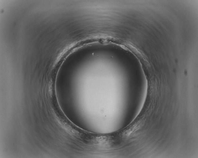 X0000067520064200604101337