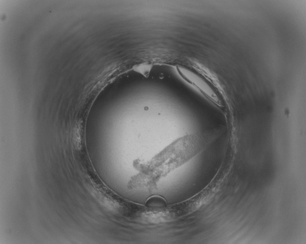 X0000067520065200604101337