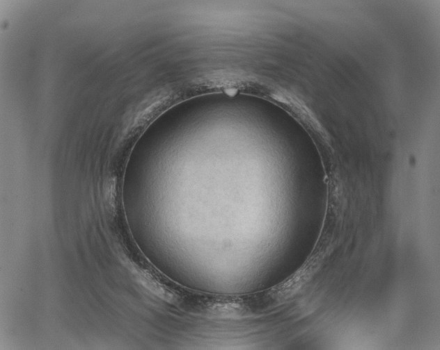 X0000067520066200604101337