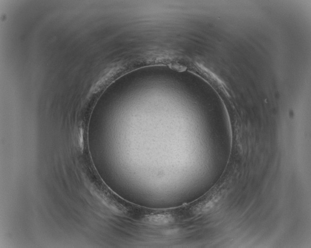 X0000067520067200604101337