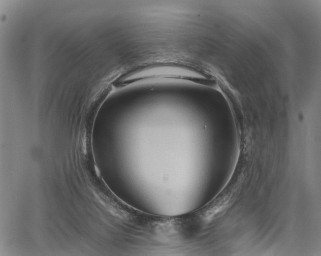 X0000067520068200604101337