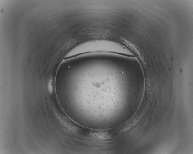 X0000067520069200604101337