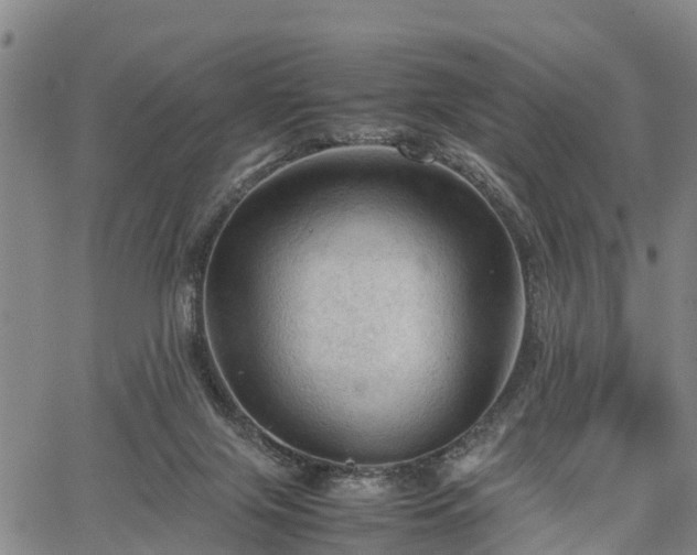 X0000067520071200604101337