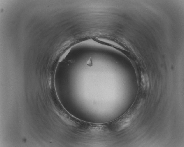 X0000067520072200604101337