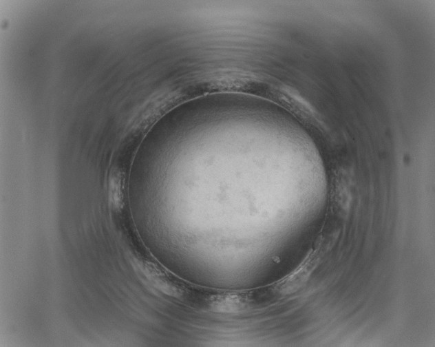 X0000067520074200604101337