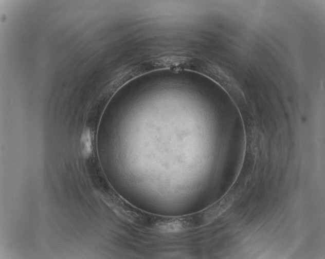 X0000067520075200604101337