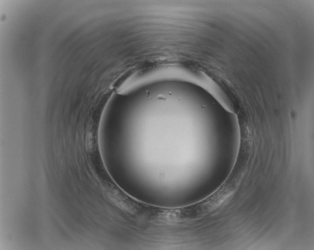 X0000067520080200604101337