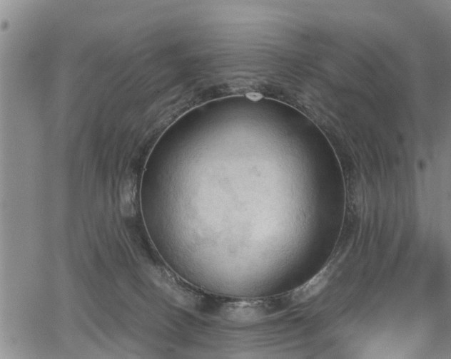 X0000067520082200604101337