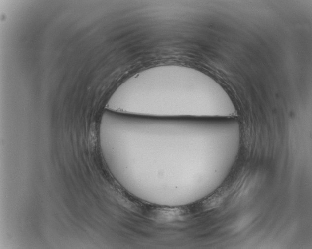 X0000067520085200604101337