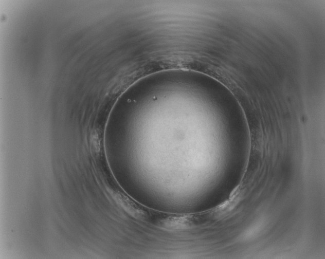 X0000067520086200604101337