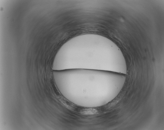 X0000067520087200604101337